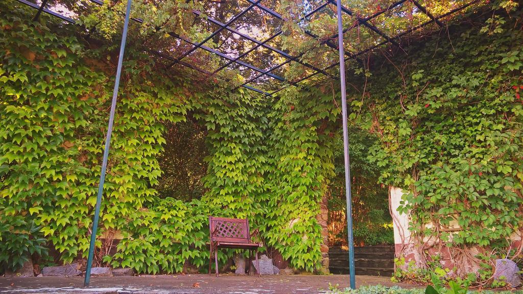 Parkhotel Schwarzenberg - Garni Екстериор снимка
