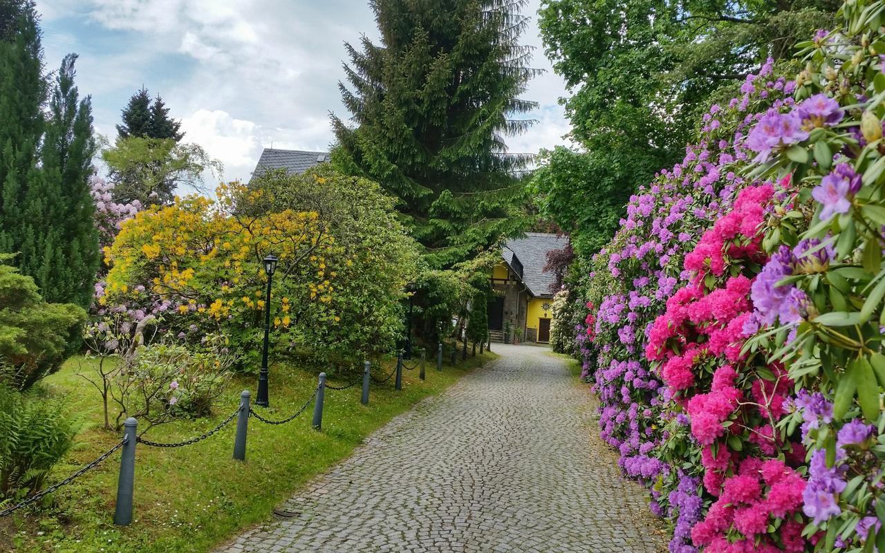 Parkhotel Schwarzenberg - Garni Екстериор снимка
